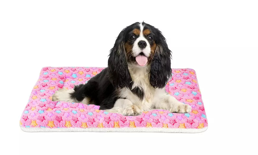 Pet Dog Cat Puppy Plush Blanket Mat Flannel Warm Sleep Bed Cushion