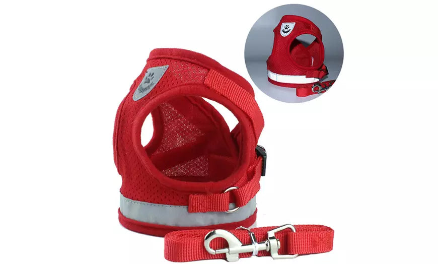 No Pull Choke Nylon Mesh Harness Padded Vest with Leash for Puppy and Cats