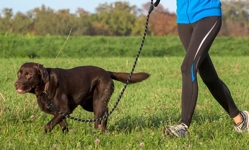 Heavy Duty Dog Leash Reflective Dog Leashes for Medium Large Dogs