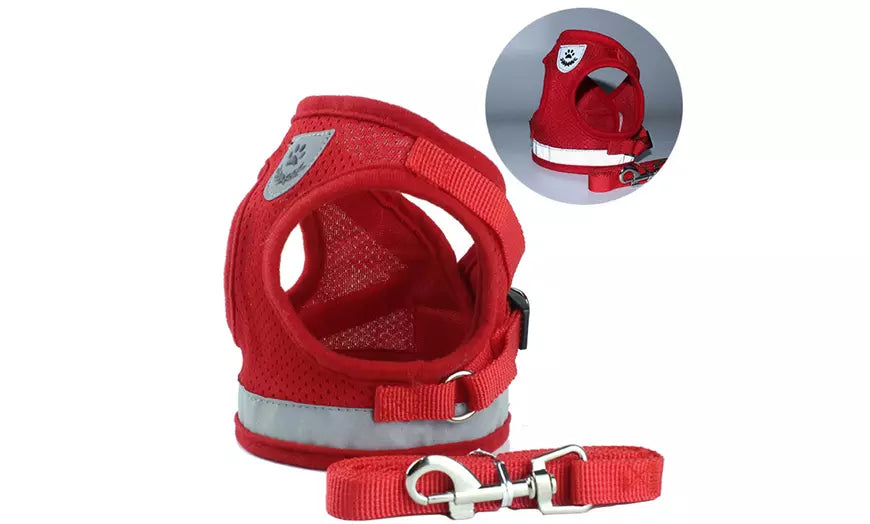 No Pull Choke Nylon Mesh Harness Padded Vest with Leash for Puppy and Cats
