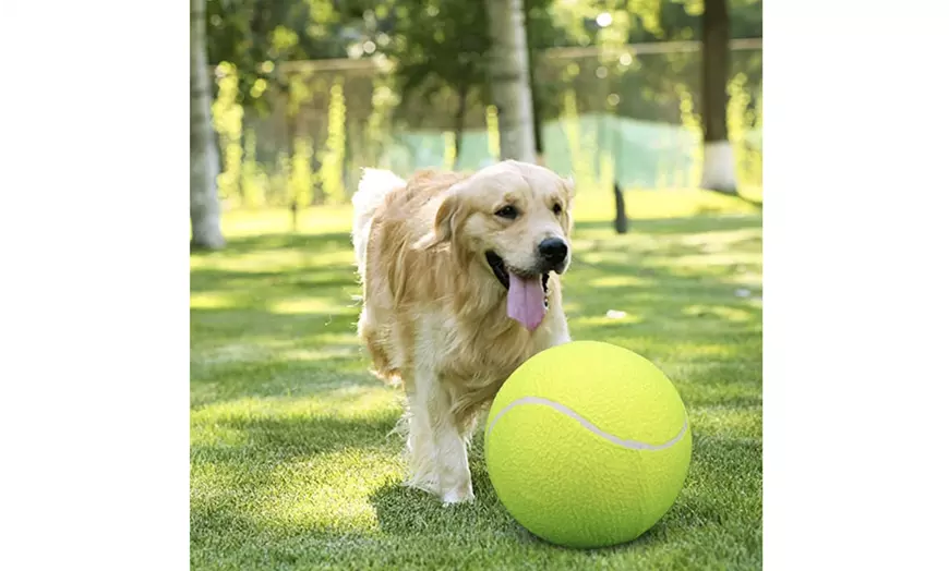 Waloo Pets Giant Tennis Ball for Pets (Pump Included!) - 1 or 2