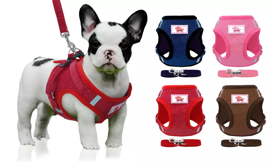Dog Harness Vest Leash Set Small Dogs Cats Walking Harness