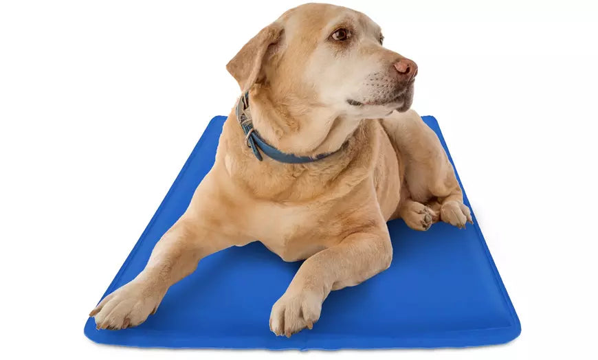 Pet Dog Cooling Mat Pressure Activated Gel Self Cooling Mat Pad