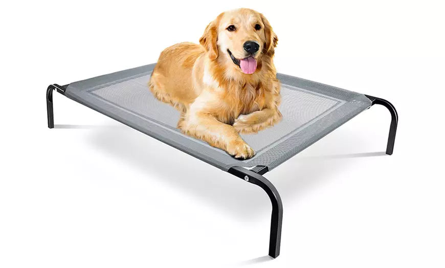 Paws & Pals Elevated Comfort Pet Bed - Steel Frame - Indestructable - Chew Proof