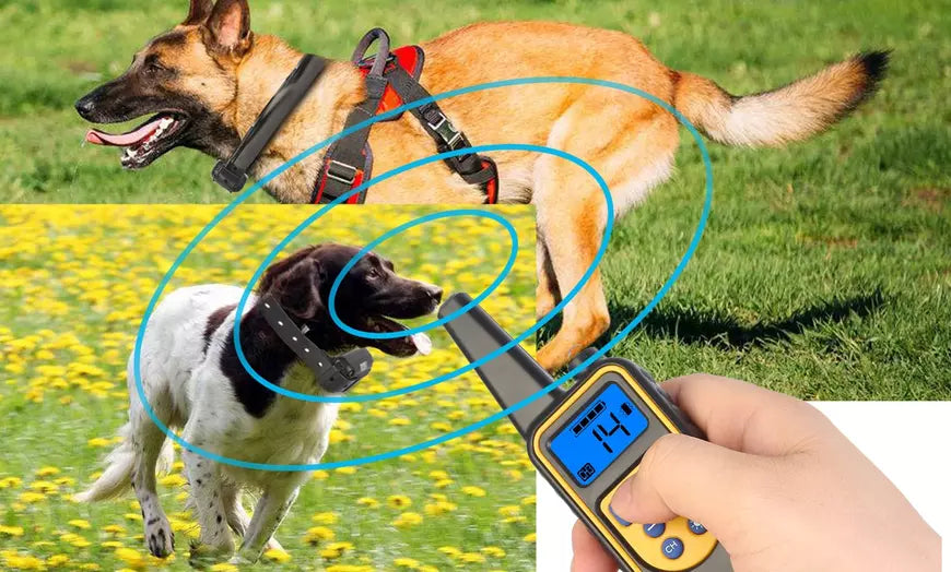 Waterproof Vibration and Shock Dog Training Collar