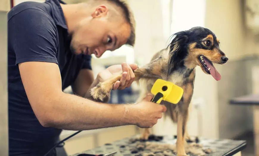 Self Cleaning Slicker Brush Pet Dog Hair Comb Grooming Deshedding Tool